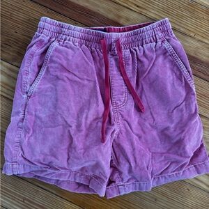 J. Crew Pink Corduroy Men’s Cargo Shorts